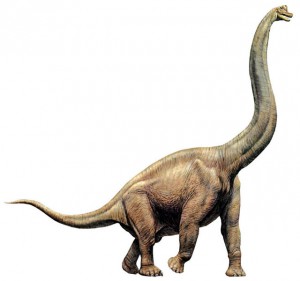 brachiosaurus3.jpg