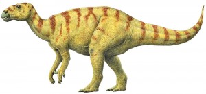 iguanodon-4.jpg