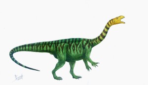 plateosaurus_engelhardti_by_t_pekc.jpg