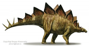 stegosaur.jpg