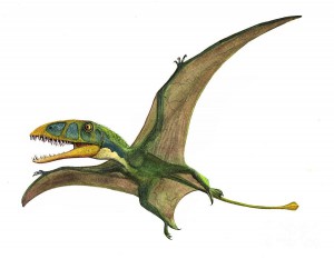 dimorphodon-macronyx-a-prehistoric-era-sergey-krasovskiy_d259.jpg