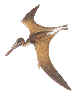 pterodactylus.gif