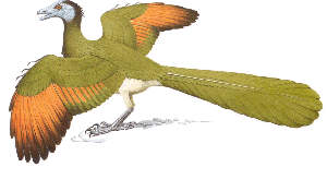 s_archeopteryx.gif