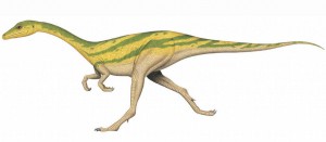 compsognathus-1.jpg
